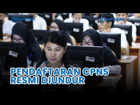 🔴 RESMI! Pendaftaran CPNS Tiba-tiba Batal &amp; Diundur Ke Tanggal 20 September 2023, Ini Jadwal Terbaru