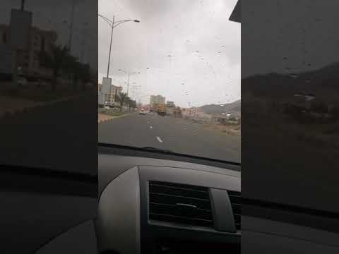 احلى دنيا
