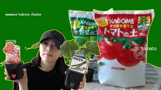 【夏はじまるよ〜】今年も植えるぞベランダ菜園🍅 tomato.mov