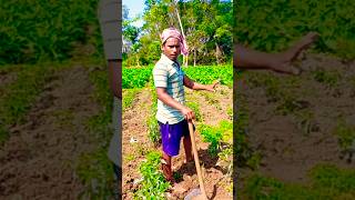 New minivlog 👍👍👍#odiavlog #narayanvlogwork #ytshorts #viral #vlogging #narayan