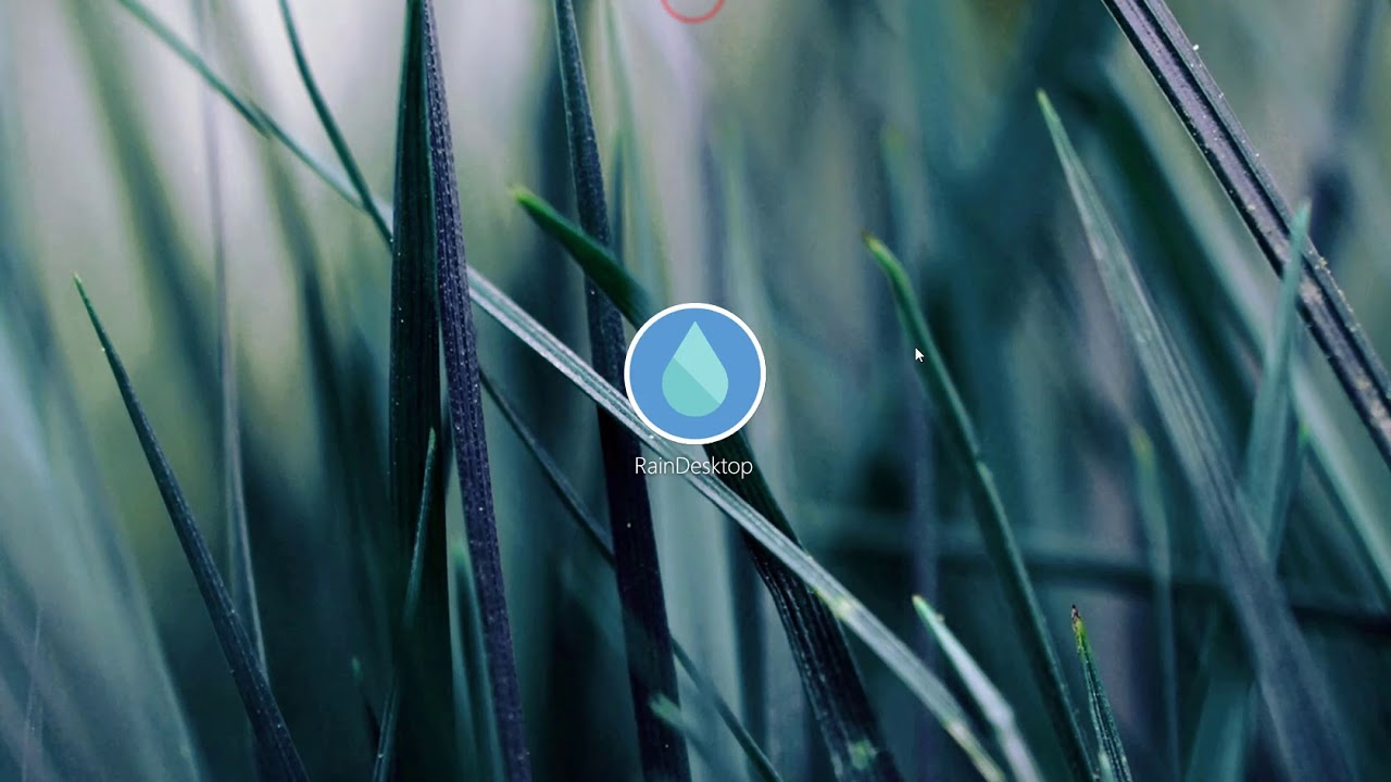 Rain Video Live Wallpaper Download