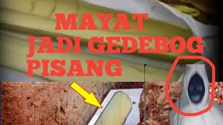 MAYAT JADI GEDEBOG PISANG #cerita #misteri