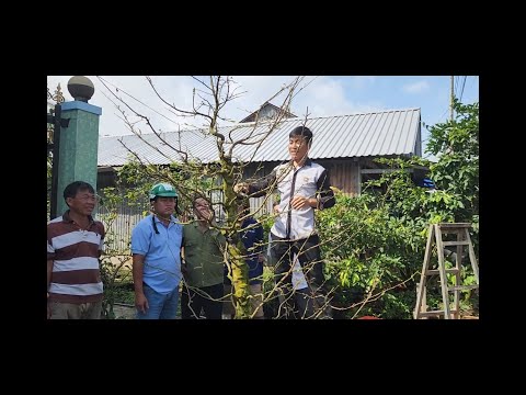 Video Lớp học cùng thầy 7 đi thực hành thực tế #Yeubonsai... - youtube