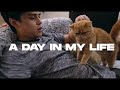 A DAY IN MY LIFE | Khalil Ramos