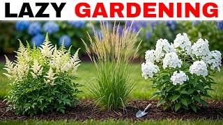 15 Foolproof Perennials That Come Back Every Year Without Fail