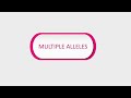 Multiple Allele : Concept Explain
