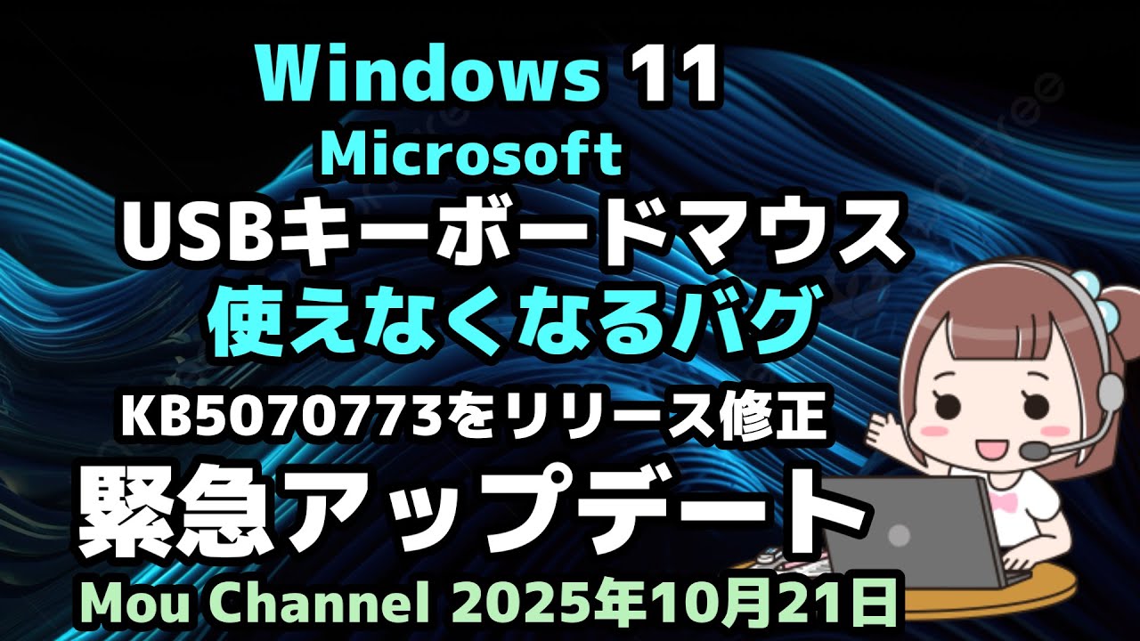 Windows 11 ○ Microsoft ○ USB keyboard and mouse ○ Bug that