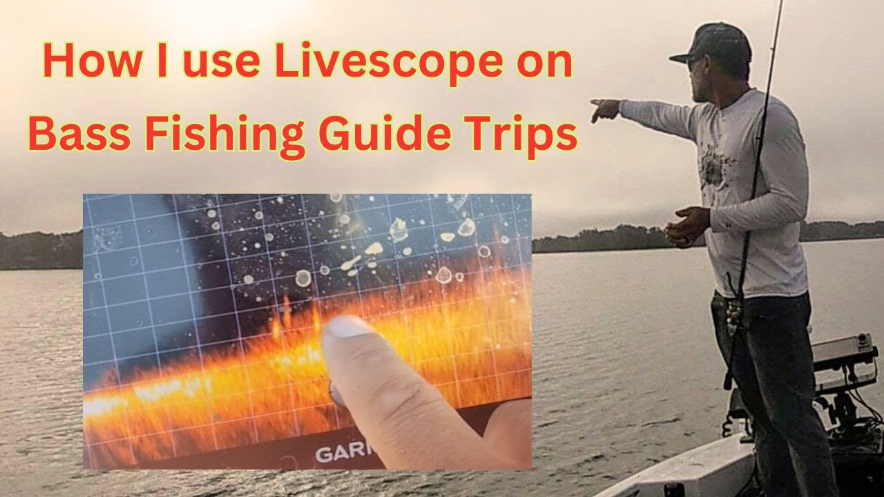 How I Use Livescope on Bass Fishing Guide Trips🐟