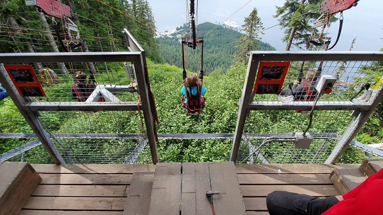 Largest zipline in the world icy strait point hoonah Alaska 