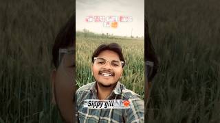 Sippy gill ❤️‍🔥 tere naa te #song #viralvideo #music #trendingshorts #punjabisong #spotifyindia