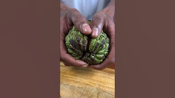 Custard Apple Milkshake #shorts