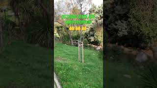 Amin Diyelim Paylaşalım Hayra Vesile Olalım Inşaallah