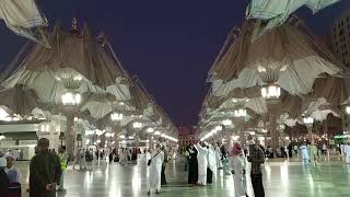 Detik-detik terbukanya payung-payung raksasa di Masjid Nabawi