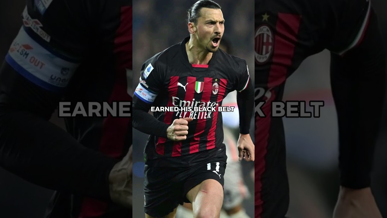 #zlatanibrahimovic