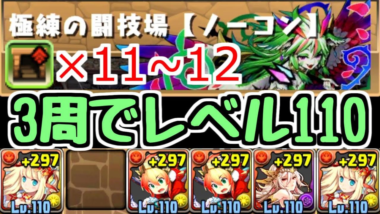 パズドラ 極練の闘技場 3周でlv110に ダンボ11 12の超オススメ周回編成紹介 固定コメントに追記あり Youtube