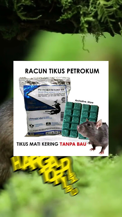 RACUN TIKUS AMPUH MATI KERING