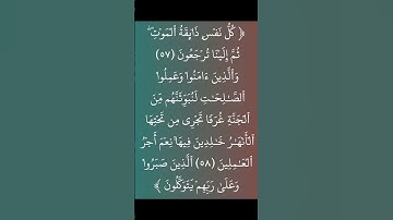كل نفس ذائقه الموت #عبدالرحمن_مسعد_تلاوة_جديدة #عبدالرحمن_مسعد
