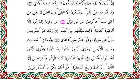 سورة النجم  برواية هشام عن ابن عامر ـ الشيخ يوسف بن نوح