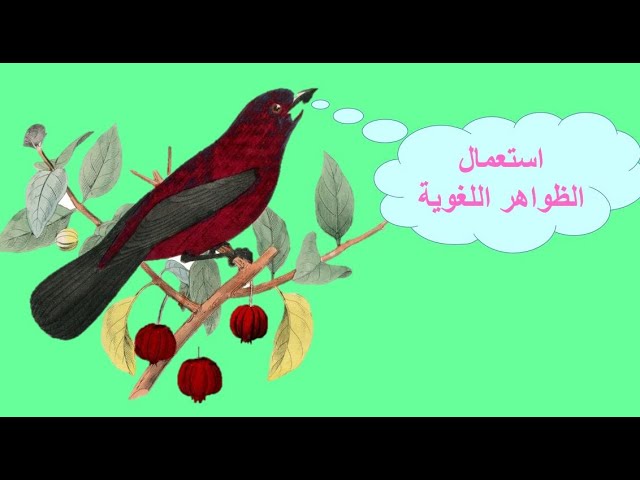حكاية شكرا اصدقاءي الأقلام: الحصة الرابعة= استعمال الظواهر اللغوية