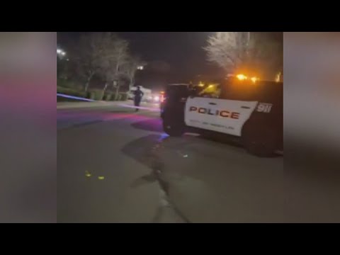 Road Rage: Father, son arrested after man killed in alleged road rage ...