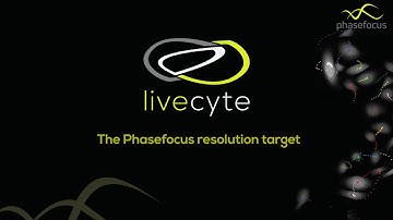 Phasefocus Resolution target