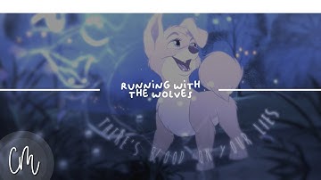 Running With The Wolves | Birthday Animash MEP