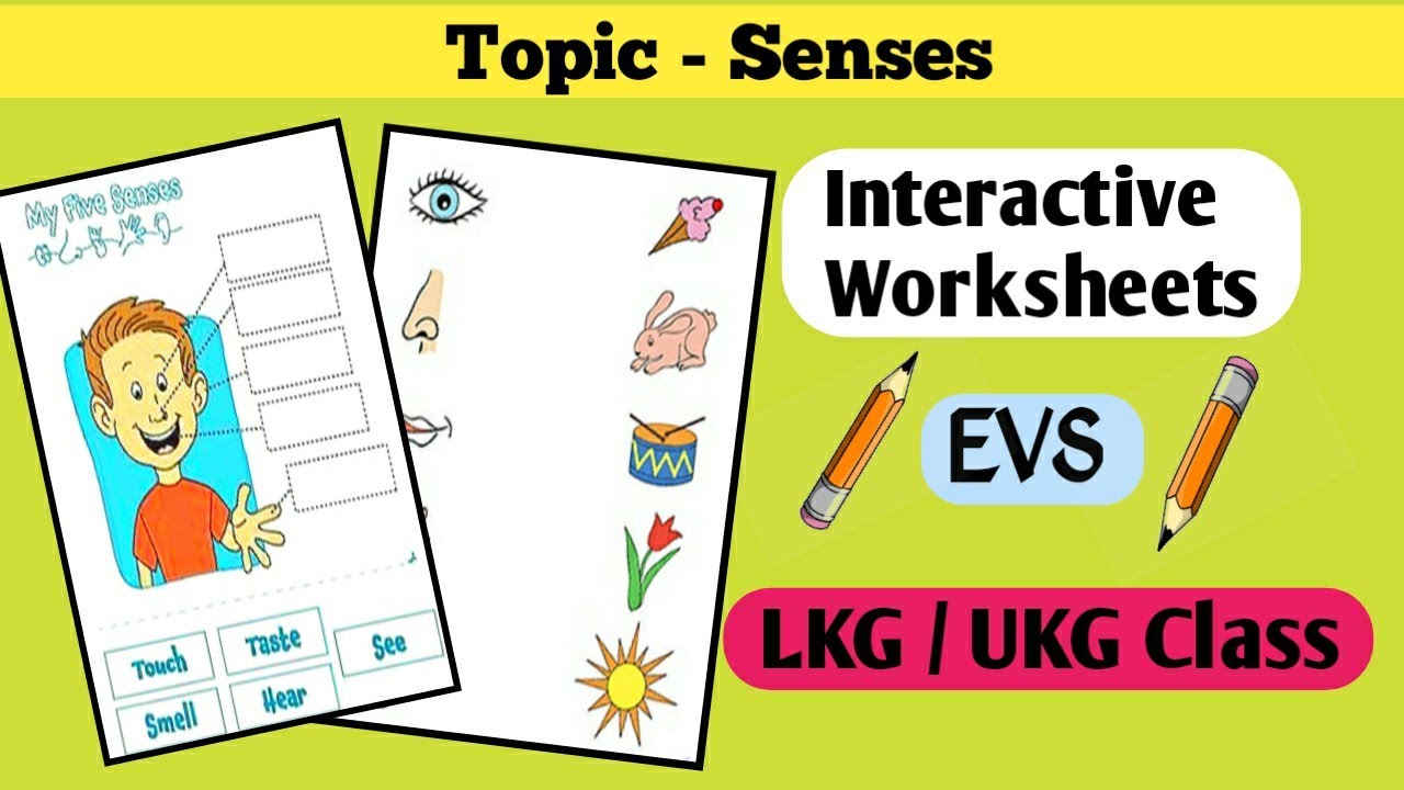evs worksheets for ukg daily practice worksheets for kindergarten youtube