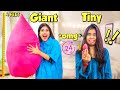We used only GIANT & TINY products for 24 hours!! *extreme challenge* 😂