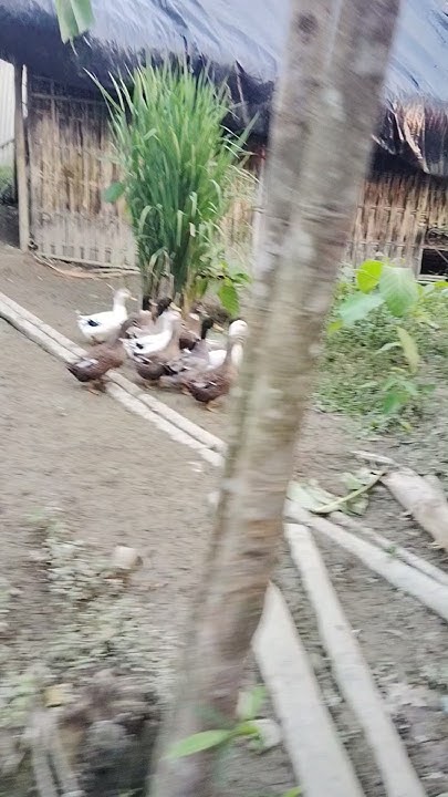 27 October 2024 - YouTube