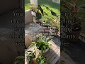 I can’t be the only one ☕️🪴 #plants