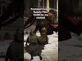 How To Beat PCR Promised Consort Radahn