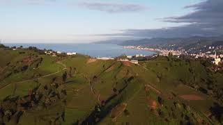 What is Rize - Show me Rize / Turkey