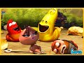 LARVA 2024: TERRIFIED OBSESSION -  CARTOONS MOVIES NEW VERSION