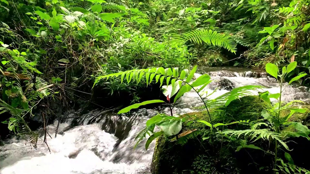 Gentle Valley River White Noise | For Sleep & Cognitive Performance