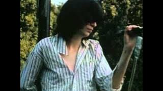 The Ramones - Cretin Hop (live)