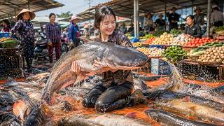 Celebrity 72 Hours Full Process 🔥 Catching Giant Catfish From the Pond  — Villagers Rush to Buy Fresh Fish! Profile