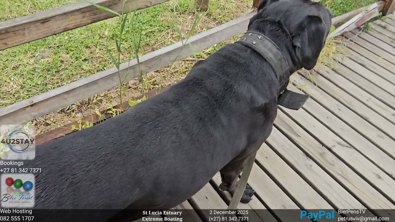 St Lucia Experience 2 December 2025 - Water Levels Update 