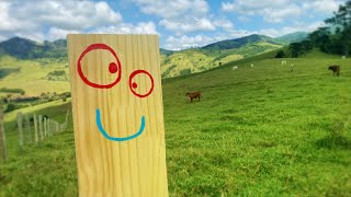 My Best Friend Plank Music Video