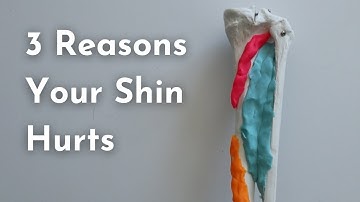 Stress Fracture vs. Shin Splints | Differential Diagnosis