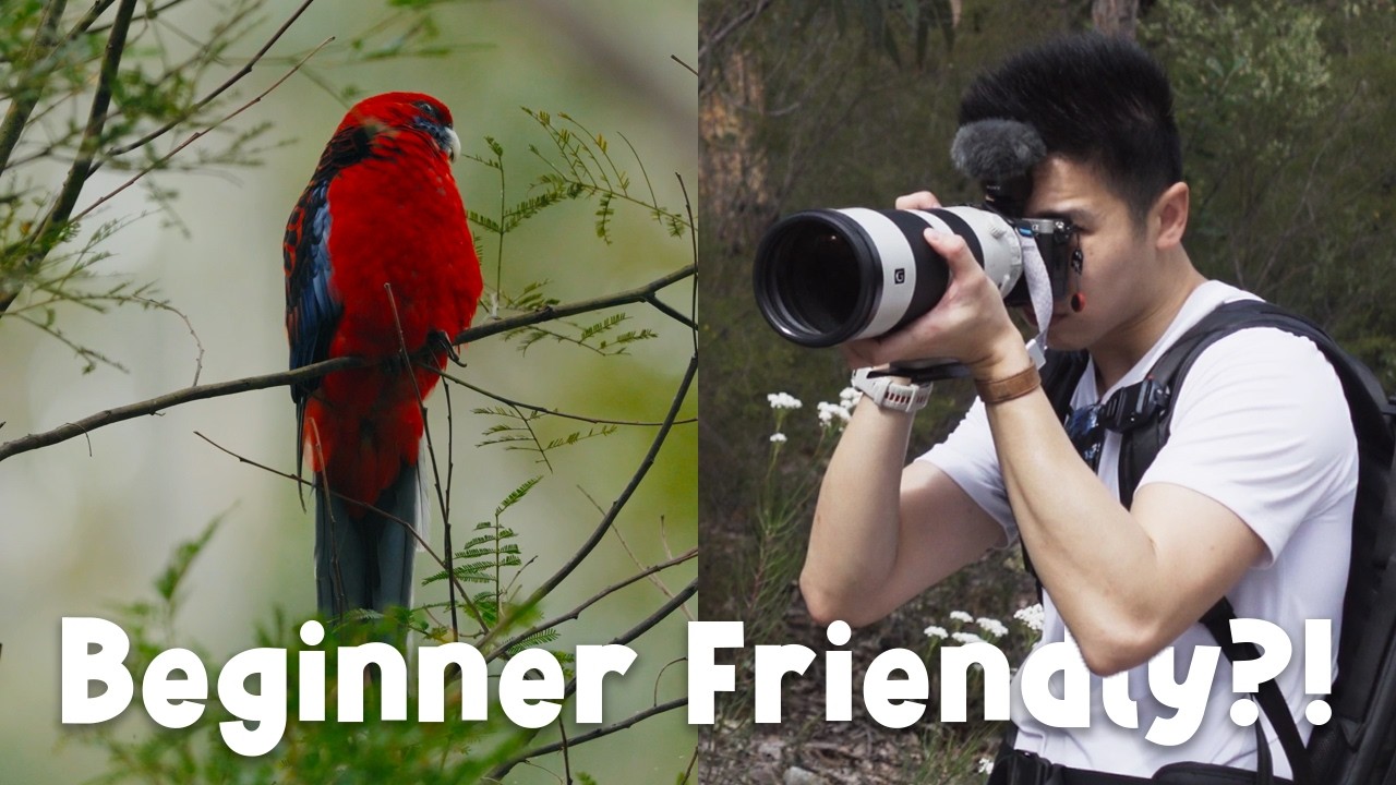 First Impressions Of The Sony 200 600 Lens A7cii Beginner s Journey first-impressions-of-the-sony-200-600-lens-a7cii-beginner-s-journey