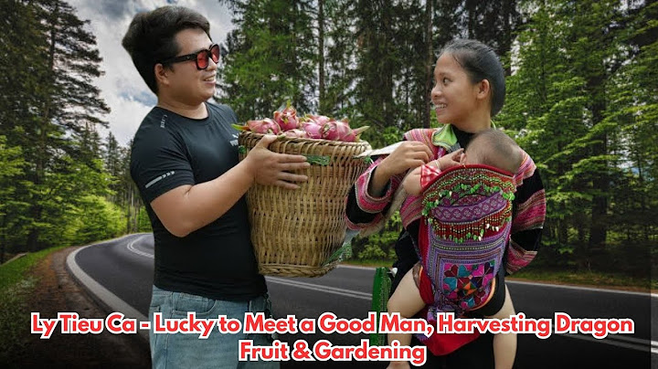 Ly Tieu Ca - Lucky to Meet a Good Man, Harvesting Dragon Fruit & Gardening