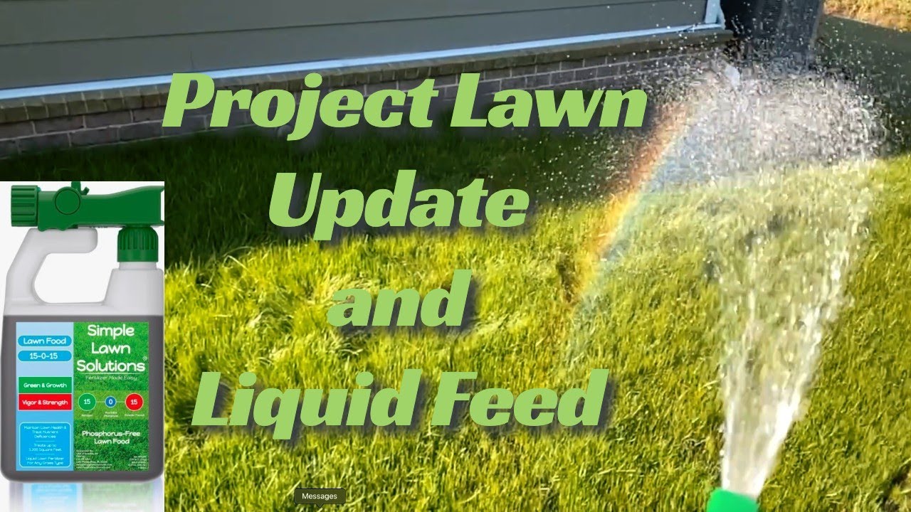 Liquid Fertilizer on New Project Lawns // Simple Lawn Solutions 15-0-15 ...