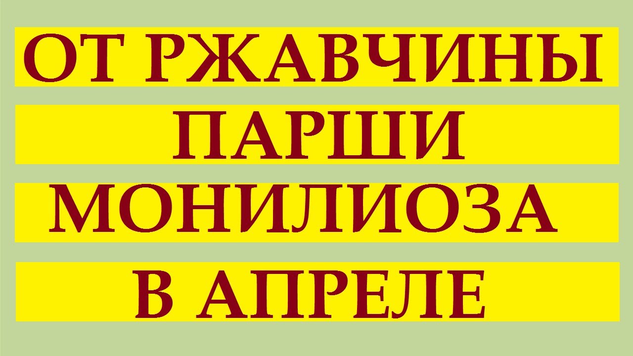 229_Обработка от ржавчины, парши, монилиоза в апреле - YouTube