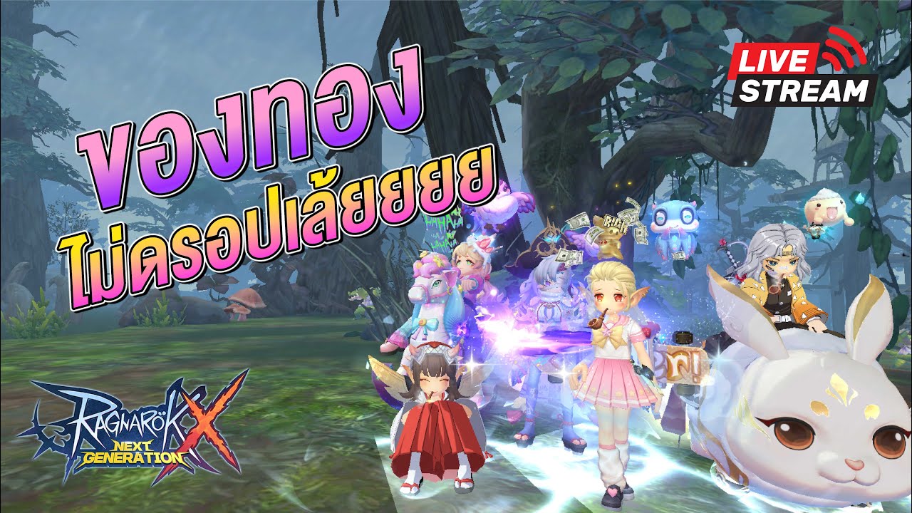 Rox Ranger LIVE 🔴 Rox Ranger Crit : ของทองไม่ดรอปเล้ยยย - YouTube