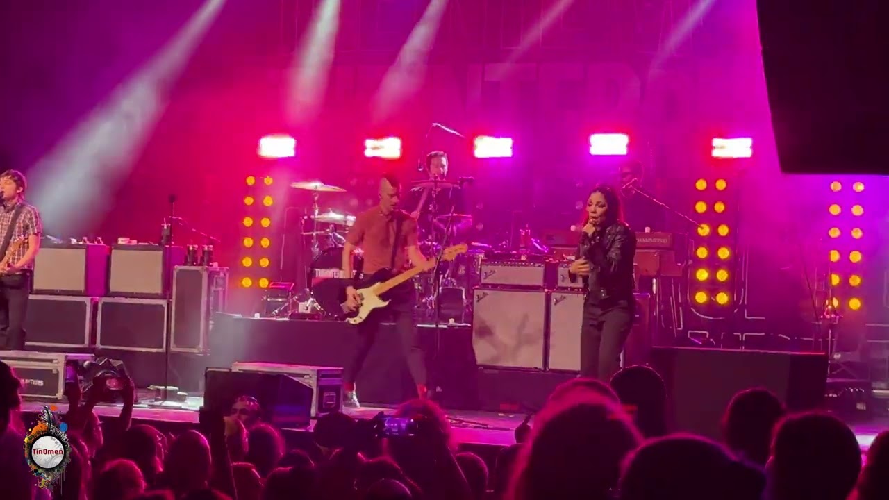 The Interrupters