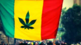 Mr Zebre ft Rebel-I - Legal (Anawak Lab Remix) + Dub