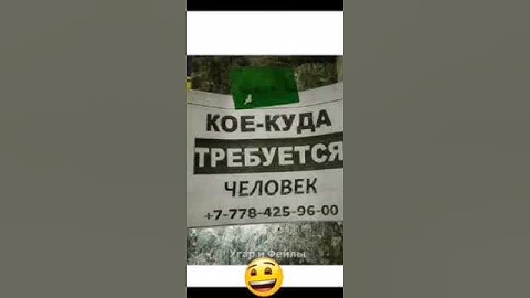 Гении маркетинга 🤣😂😆