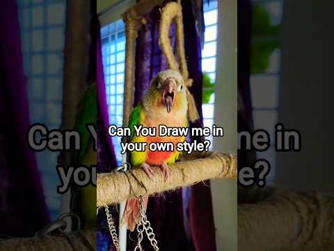 Kiki Fan Art Challenge Draw Kiki,Tag @TheRFBirds Get Featured ❤️