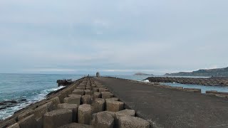 （第40集）Taiwan 釣魚樂不專業釣魚團釣烏魚比賽#臺灣釣魚