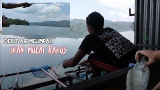 Mancing nila babon pakai joran timbang di waduk wadaslintang